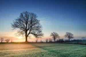 © AlexanderLrs - Fotolia.com Herbstlandschaft