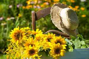 © DoraZett - Fotolia.com Herbstbild