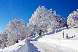 © Michael Zimberov - Fotolia.com Schneefahrbahn