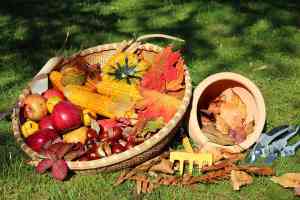 © goldbany - Fotolia.com Korb mit Obst und Gemüse