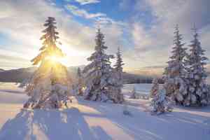 © Oleksandr Kotenko - Fotolia.com Winter-Landschaft