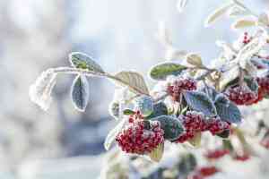 © Myst - Fotolia.com Schönheitsoperation