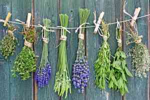 © Team 5 - Fotolia.com Kräuter auf Seil