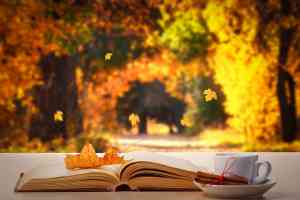 Blatt auf Buch