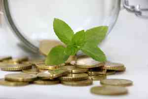 © doris_bredow - fotolia.com Münzen