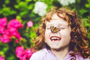Schmetterling