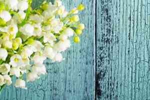 © tstock - stock.adobe.com Blumen vor blauer Holzwand